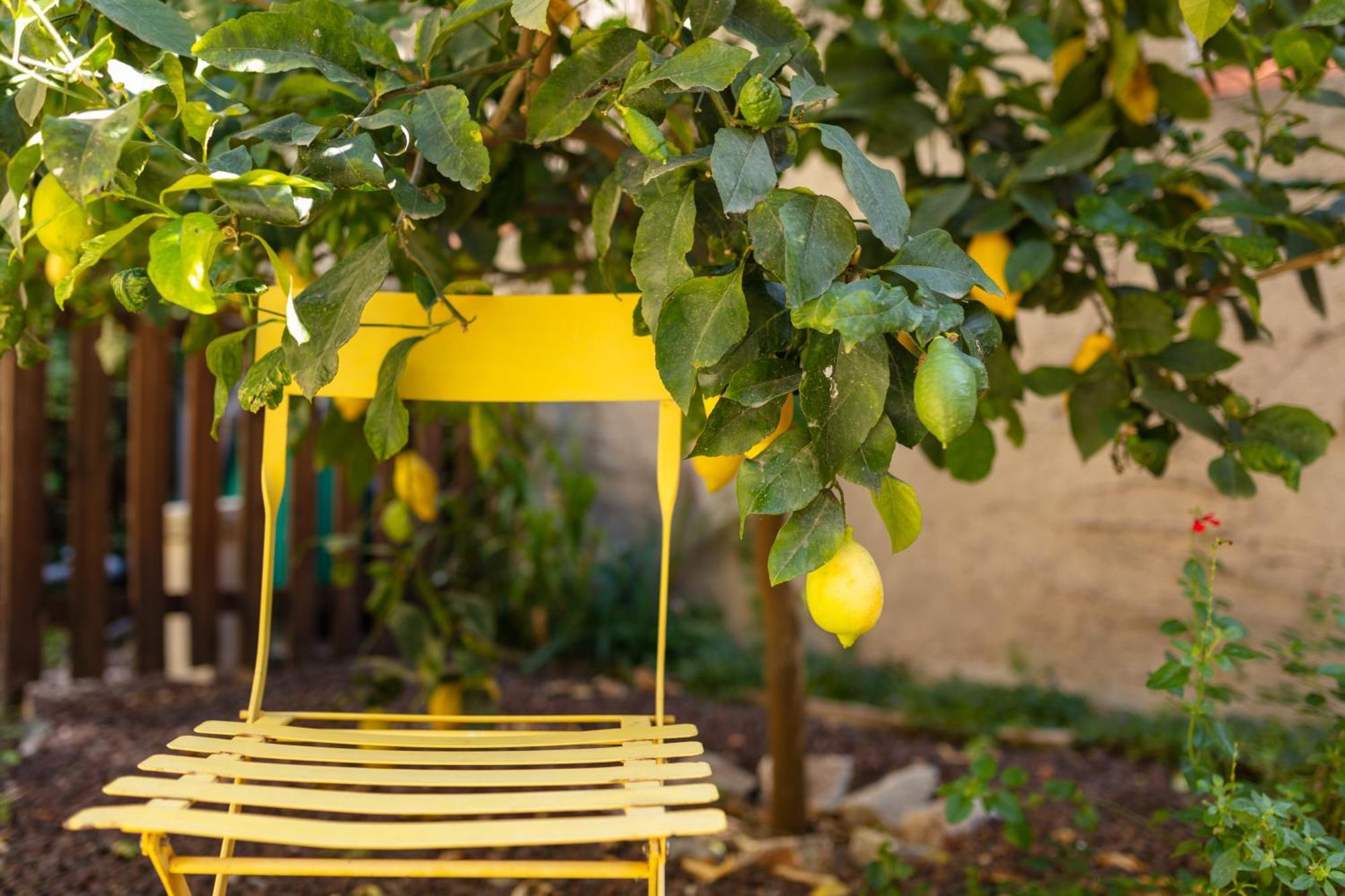 La Tour Du Terroir Bed & Breakfast Rivesaltes Exterior photo